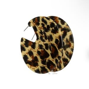 Acrylic Earrings. NWT